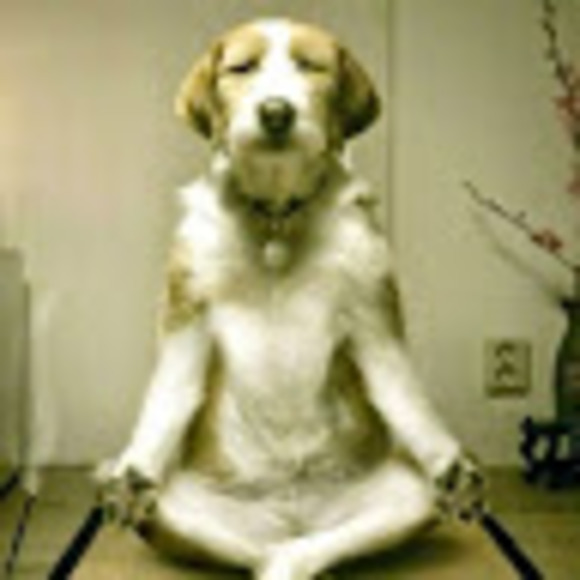 Meet your Posher, Jill - Picture 1 of 1